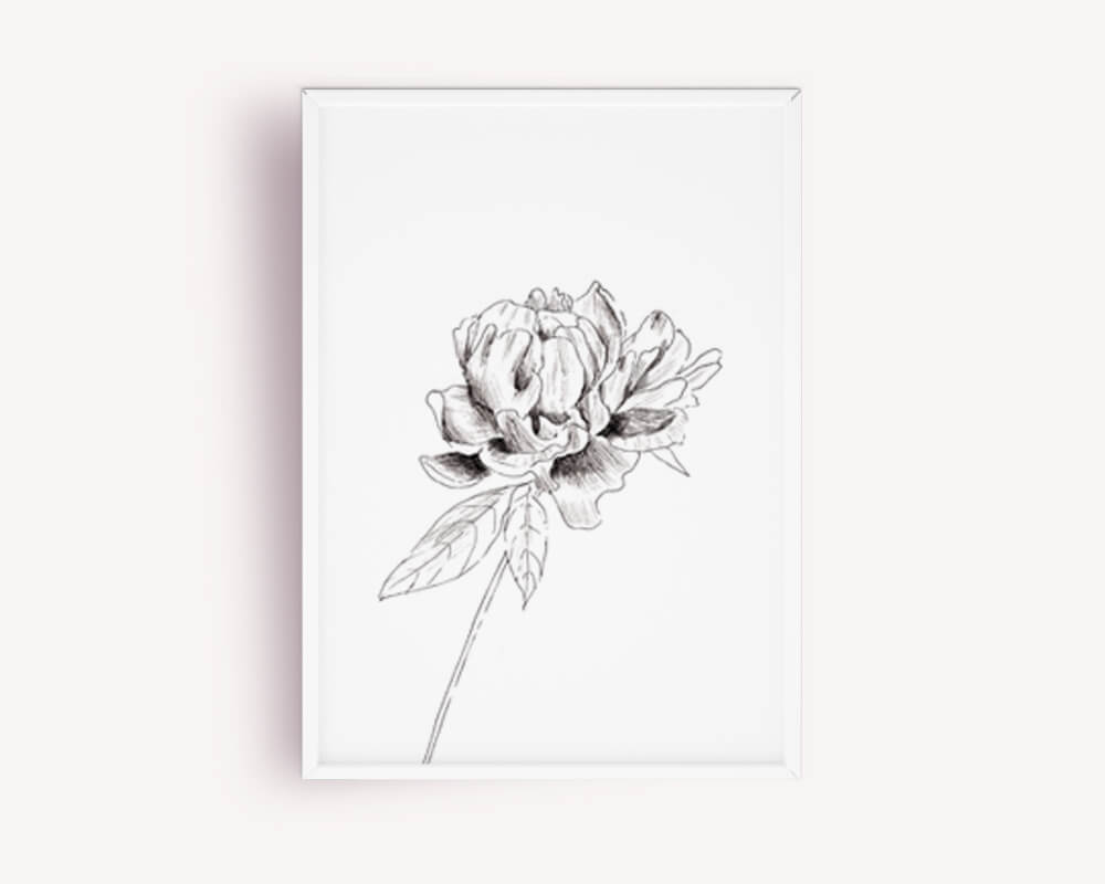 Druk obrazu "Peonia" A3 - obrazek 2